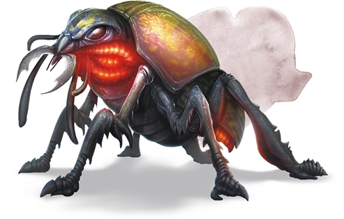 https://forgottenrealms.fandom.com/wiki/Giant_fire_beetle